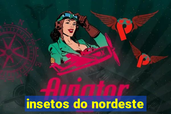 insetos do nordeste